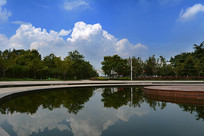 ӿ������