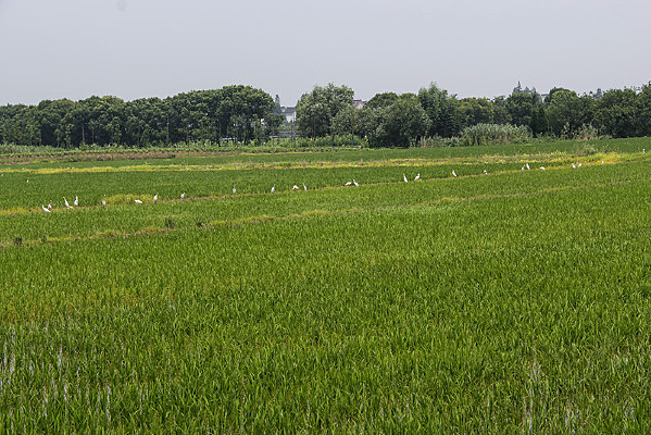 ��̬���� 