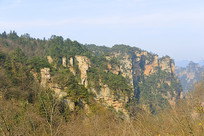 �żҽ�����ɽɰ�ҷ��� 