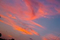 ��������ĺ�ϼ