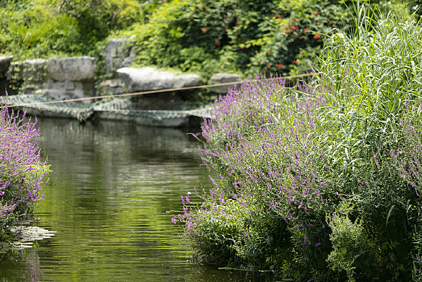 ����Ȫ�ǹ�԰���