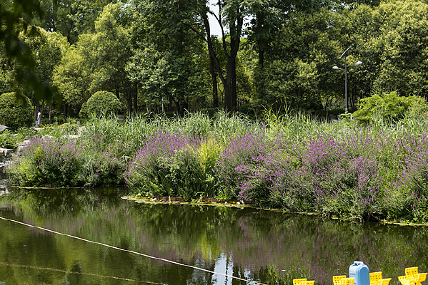 ����ֲ��԰�羰