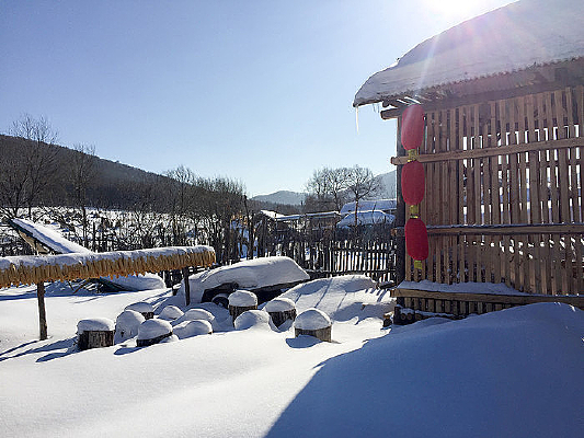 ũ�Ҷ������