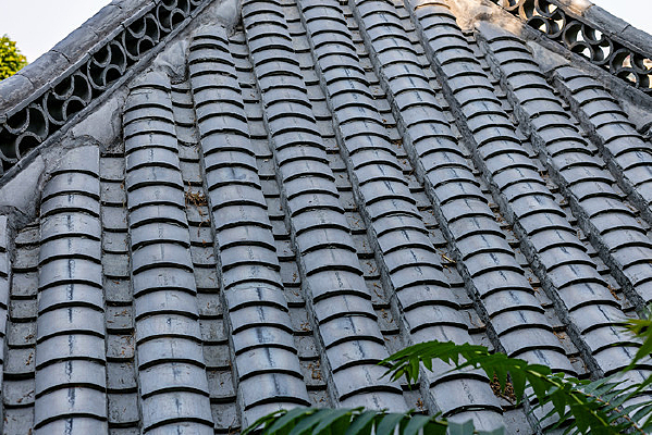 ���ϴ�������԰�Ͻ���