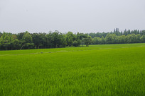 �����л�����