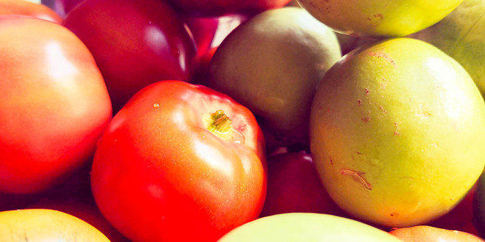 ˮ������д