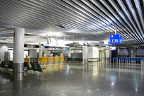 �¹������˸������ǻ���