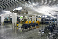 �¹������˸�����������ǻ��� 