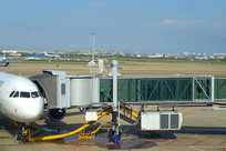 ������ɽ������ͣ��ƺ 