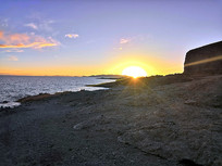 ������ľ������