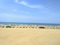 ������̲