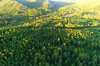 ���˰�����ɫ�ֺ�