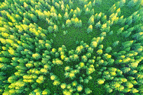 ���˰���������