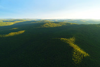 ������ɫ�ֺ����� 