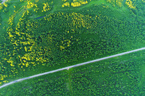 �������ֹ�·