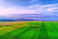 ������԰���