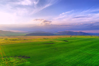 ���ױ�����ɫũ����ģ�