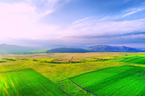 ���ױ�����Ұ���