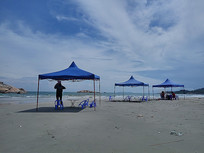 �������߷羰 