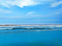 ��ɫ��̲����