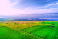 ����ԭҰ��ɫũ�ﺽ��