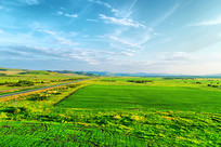 ��ɫ��Ұ��� 