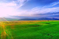 ��������ɫ��Ұ