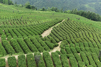 ��ժ����