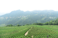 ��ɽ����