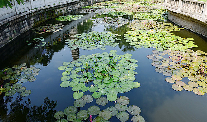 �������˯��