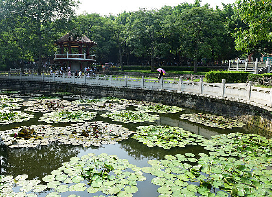 ���ͺ������˯��