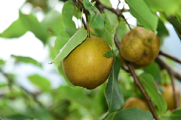 ��̬����