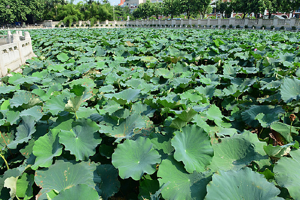 ����ĺ���