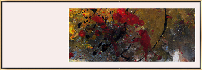 ���ų���