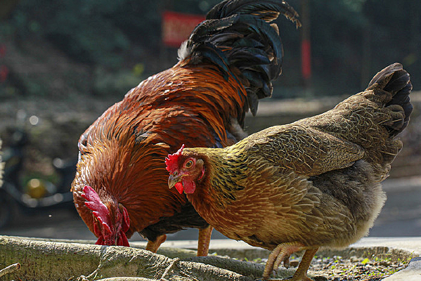 һ������