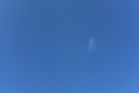 ɫ