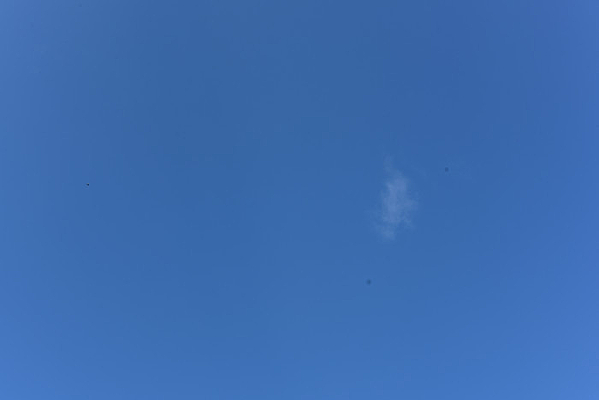 ��ɫ�������