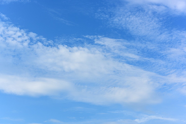 ��ɫ�ı������