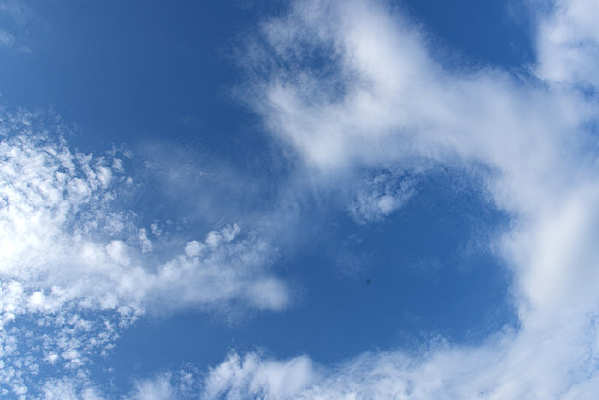 ��ɫ��ձ���