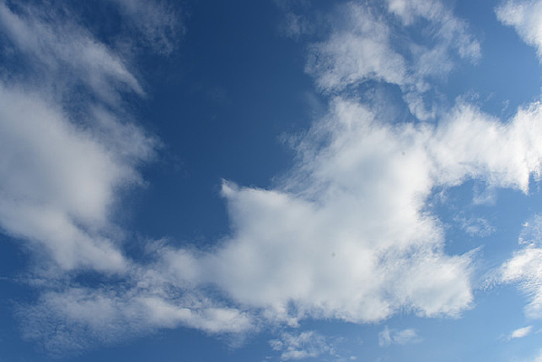 ����Ʋʱ���