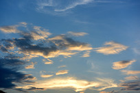 ��������Ʋ�