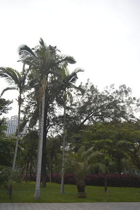 ��԰������