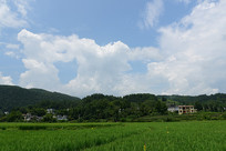 ��������µĵ���