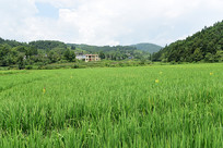 ũ���ˮ����