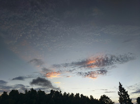 ������ϼ��