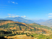 ɽ��������