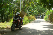 Խ�Ͼ����������С· 