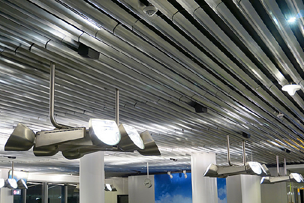 �¹������˸���������� 