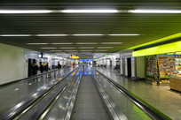 �����˸����������Զ����� 