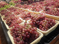 �������ѳ���